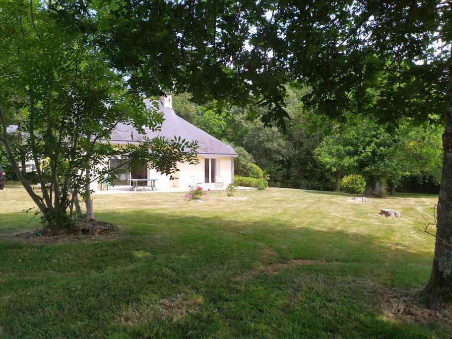 Maison 6Pers, Proche Ocean Et Plages, Moelan Sur Mer Villa Buitenkant foto